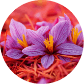 VisiFlora Ingredient15